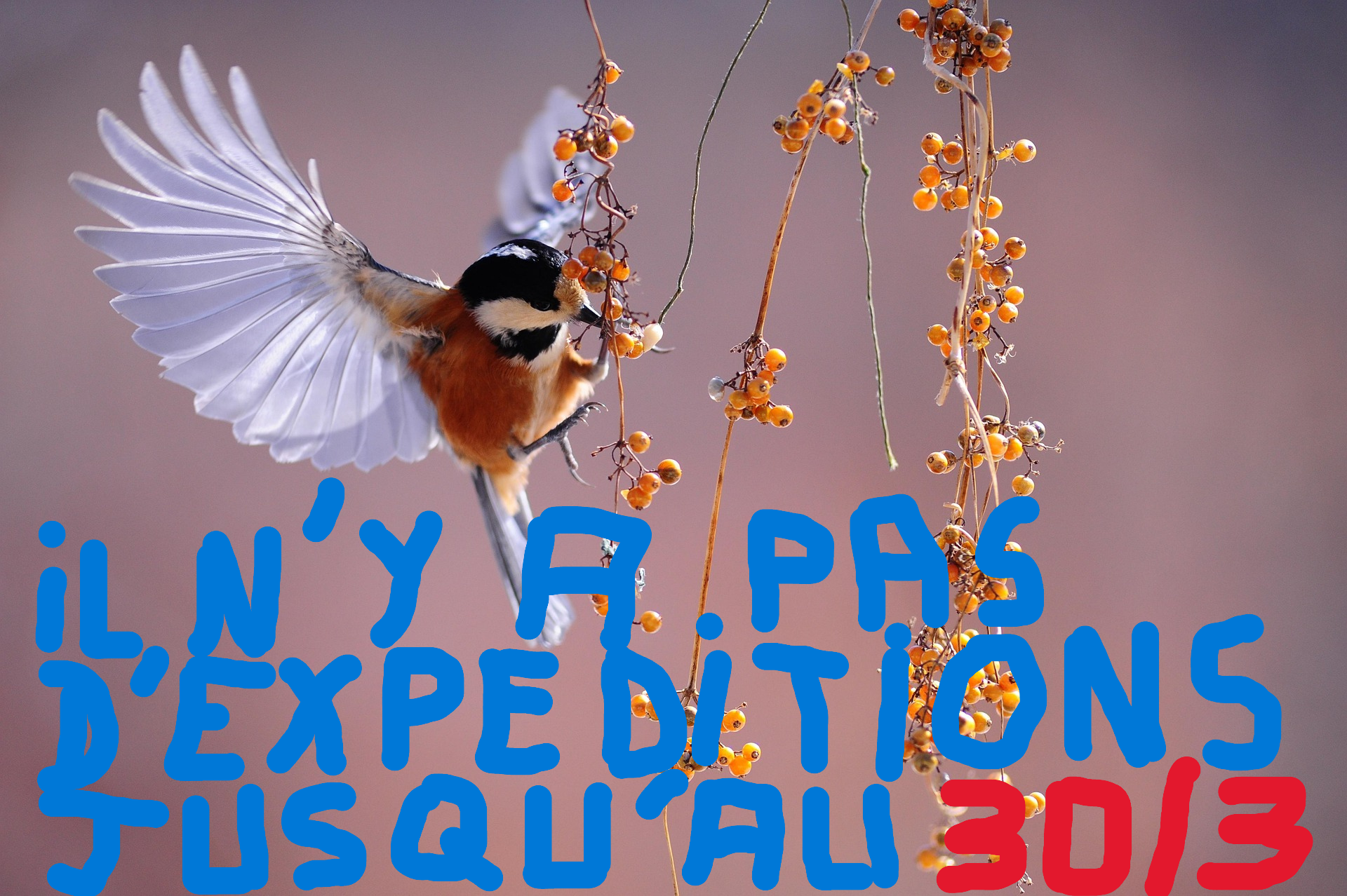 cong&eacute;s printemps 2026